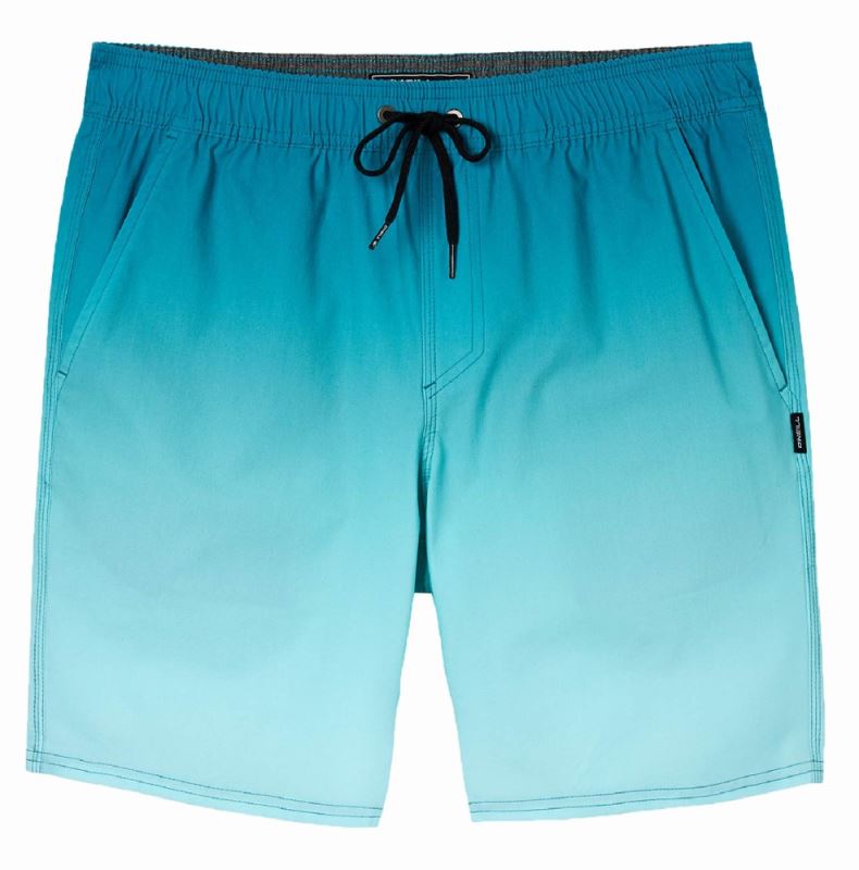 O'neill Stockton Print E-waist Hybrid Shorts Niño Azul Rei Co-op